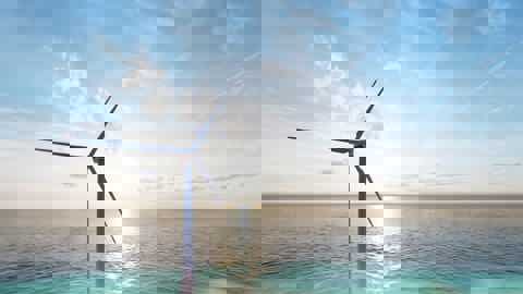 Offshore Wind Sunrise Nature Inclusive